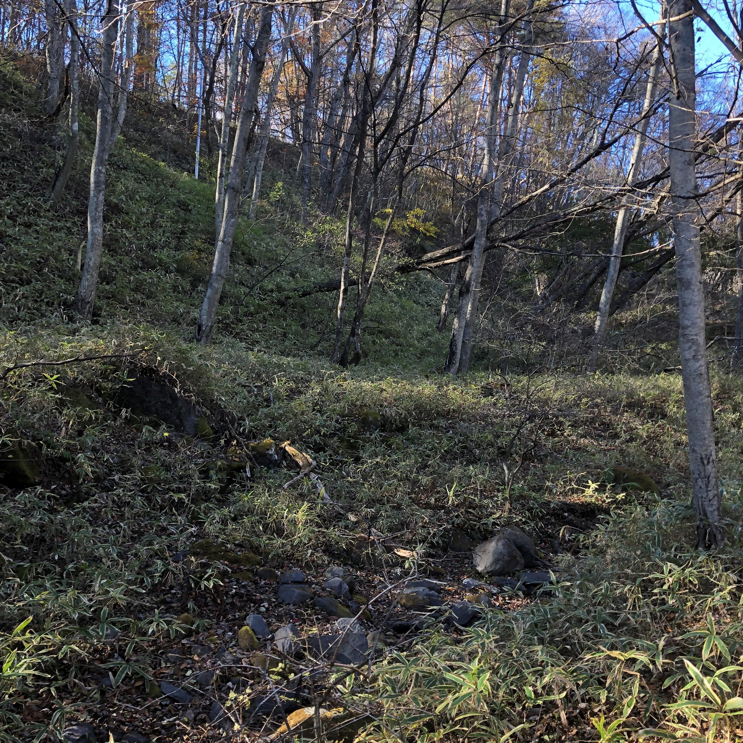 山梨県北杜市