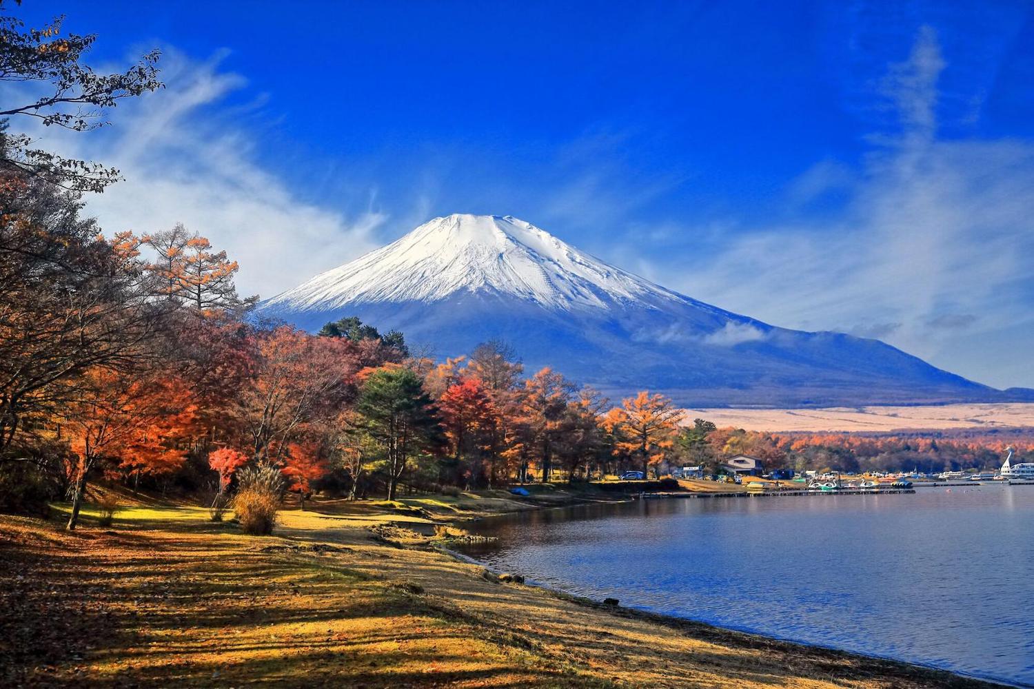 富士山と山中湖の紅葉湖畔