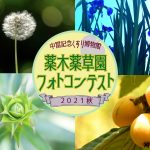 薬木薬草園 フォトコンテスト～2021秋～