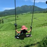 童心回帰農場の空飛ぶブランコ