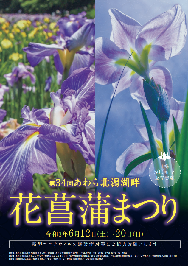 第34回あわら北潟湖畔 花菖蒲まつり みんなの観光協会