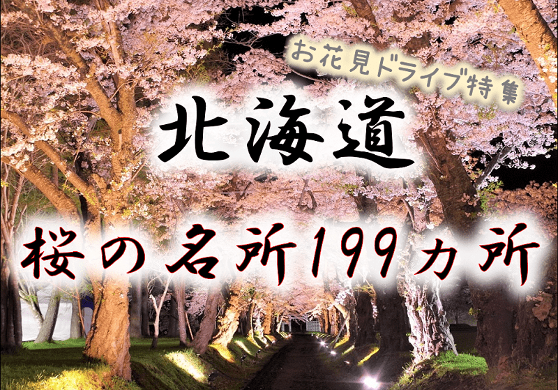 【北海道の桜】199ヵ所の名所から花見ドライブにおすすのスポット